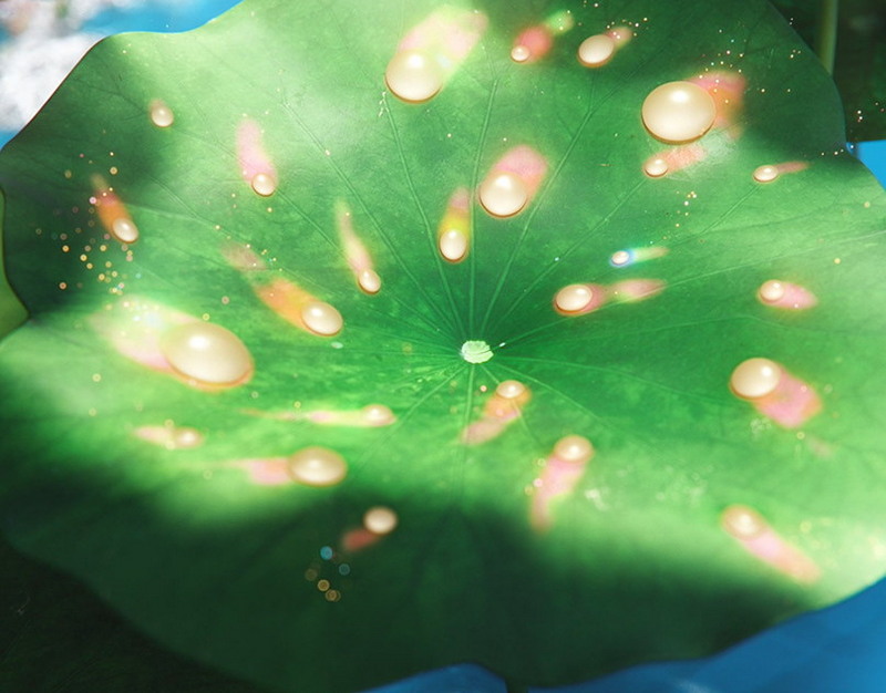 Обошли по деньгам: сферы, где женщины запрашивают больше мужчин